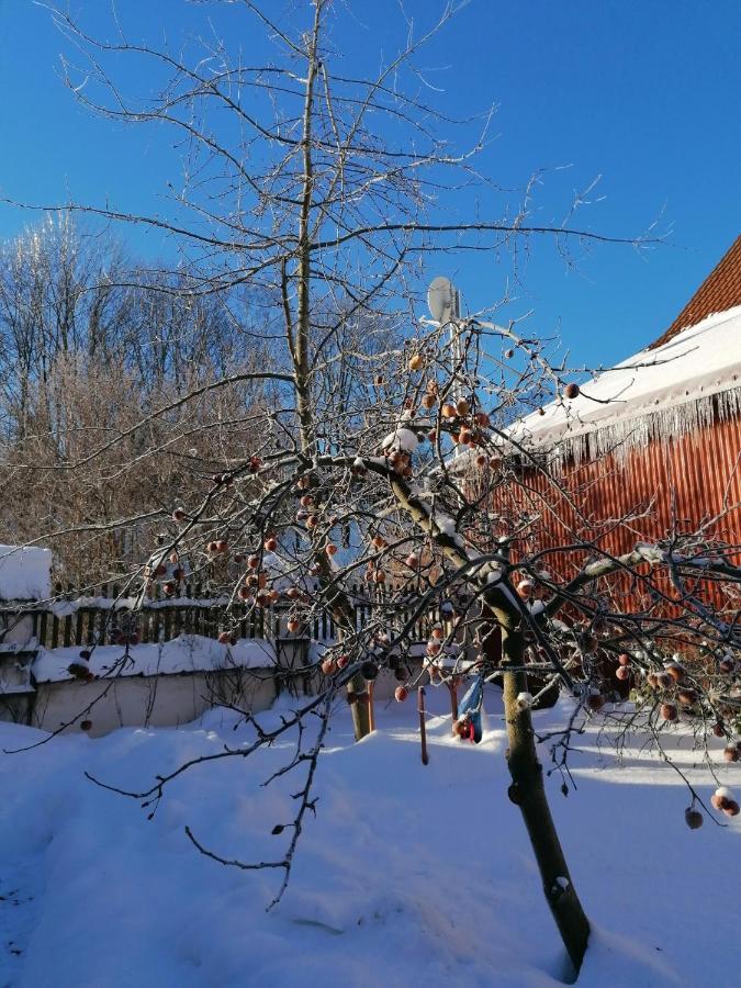 Stilvolles Ferienhaus Artdeco Wernigerode Esterno foto